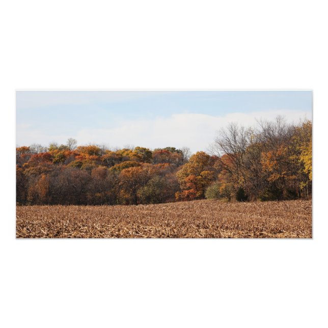 Autumn Field Photo Print (Front)