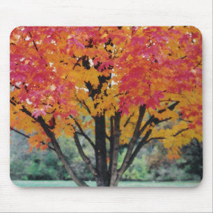 Autumn Fire Mouse Mat