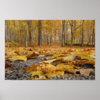 Autumn Floor Poster