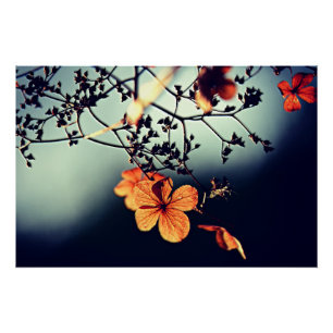 Autumn Flower Poster