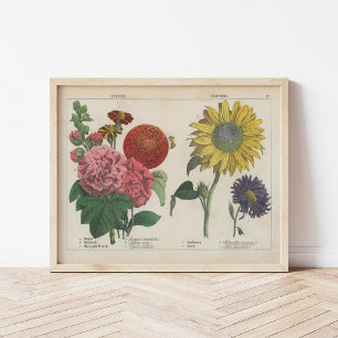 Autumn Flowers Charlotte Mary Yonge Poster