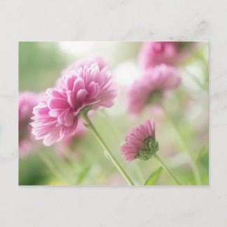 Autumn flowers postcard