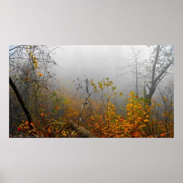 Autumn Fog in the Forest Poster (Front)