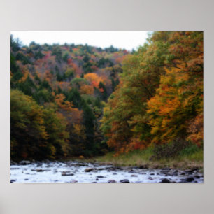 Autumn Foliage Along River #2 Nature Poster