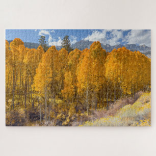 Autumn Foliage Aspen Forest Jigsaw Puzzle