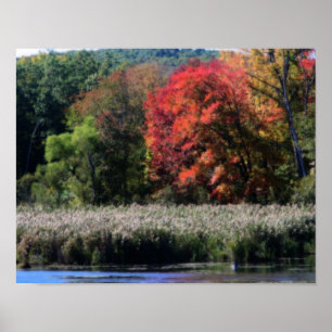 Autumn Foliage Bordering A Marsh Nature Poster
