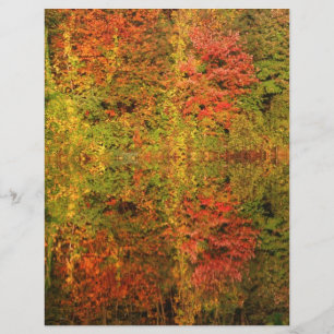 Autumn Foliage Colourful Scrapbook Paper