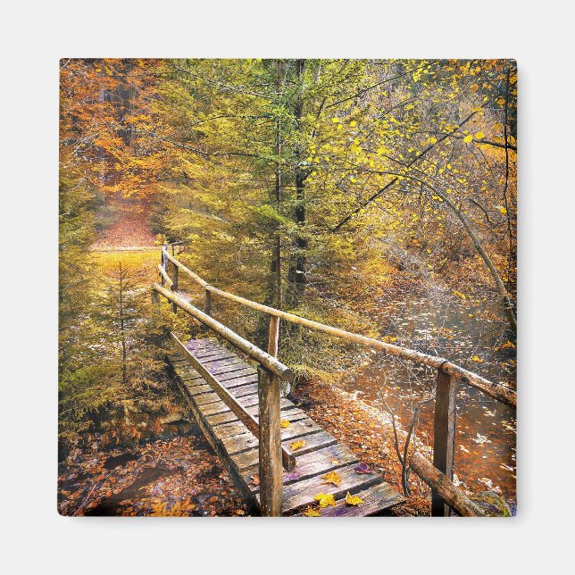 Autumn Foliage, colours of fall, Magnet (Front)