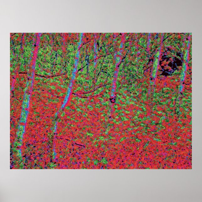 Autumn Foliage d5 Poster (Front)