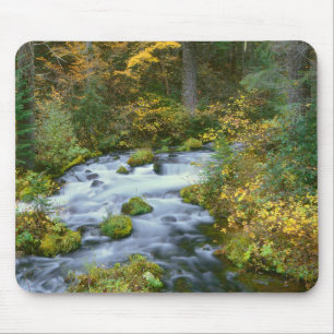 Autumn foliage & Douglas Fir Border Roaring River Mouse Mat