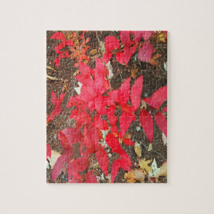 Autumn Foliage Fall Colours Photo Jigsaw Puzzle