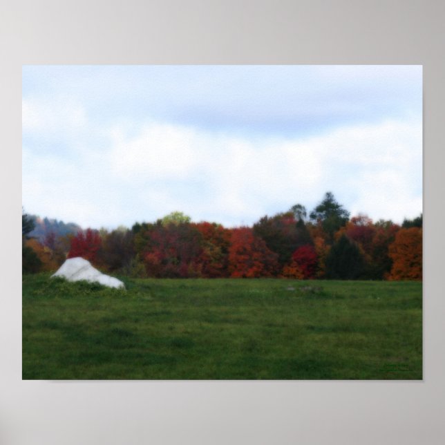 Autumn Foliage Field Rock Nature Print (Front)
