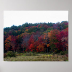 Autumn Foliage In Field Nature Poster