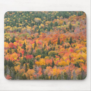 Autumn Foliage Keweenaw Peninsula, Michigan Mouse Mat