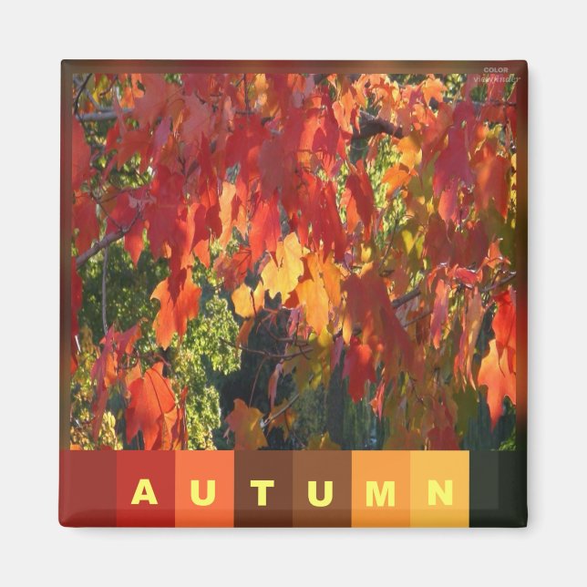 Autumn Foliage Magnet (Front)