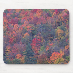 Autumn foliage of a mixed hardwood forest mouse mat
