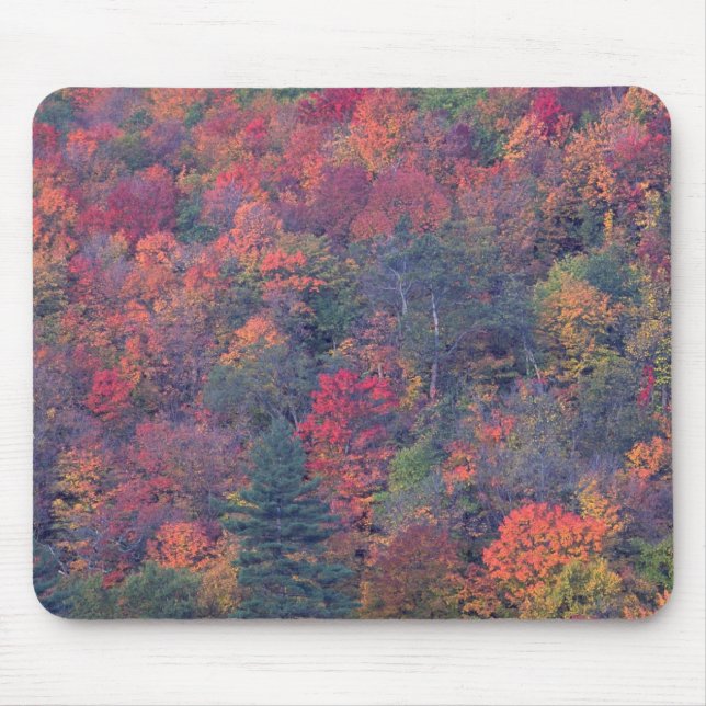 Autumn foliage of a mixed hardwood forest mouse mat (Front)