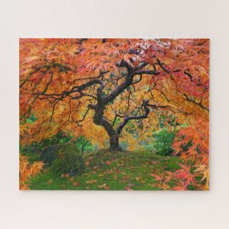 Autumn Foliage on Portland Japanese Garden Maple Jigsaw Puzzle