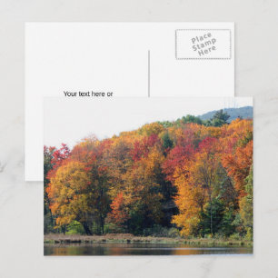 Autumn Foliage Pond Nature Personalised Postcard