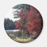 Autumn Foliage Pond Nature Photography 