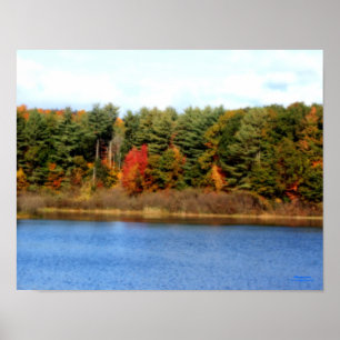 Autumn Foliage Pond Nature Print