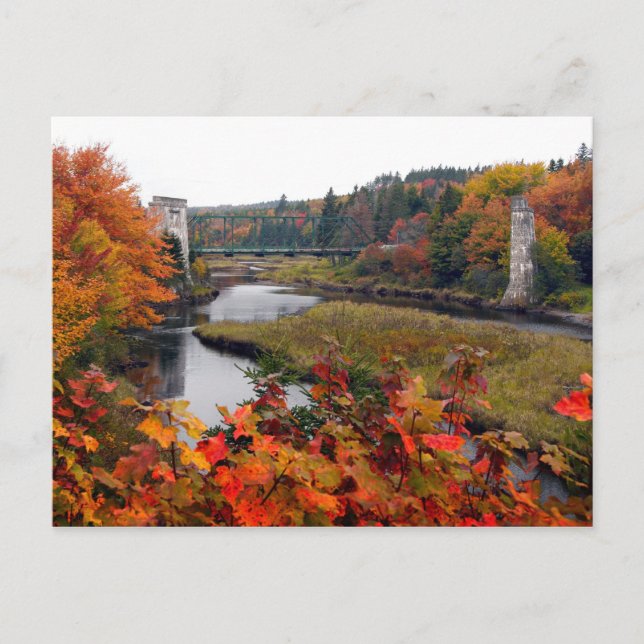 Autumn Foliage Postcard (Front)