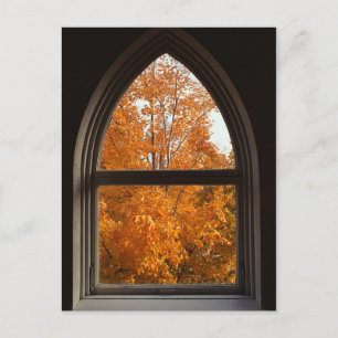 Autumn Foliage View Postcard