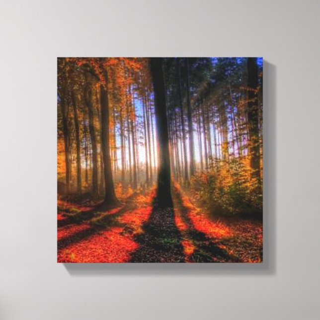 Autumn Forest Canvas Print (Front)