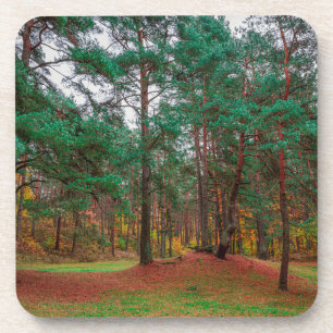 Autumn forest coaster