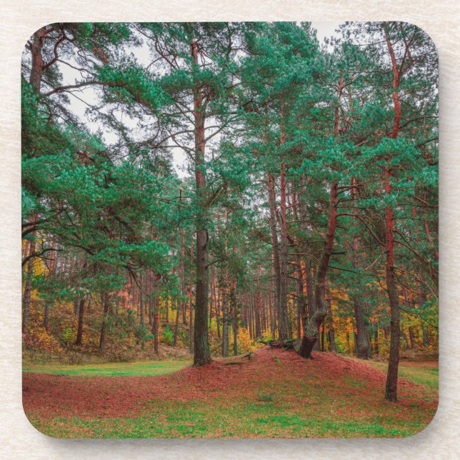 Autumn forest coaster (Front)