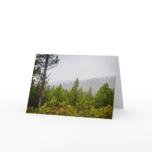 Autumn Forest Greeting Card (Blank)