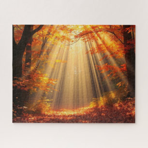 autumn forest in sunny weather jigsaw puzzle