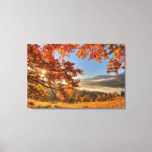 Autumn Forest in the Mountains Canvas Print