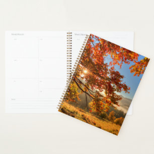 Autumn Forest in the Mountains Planner