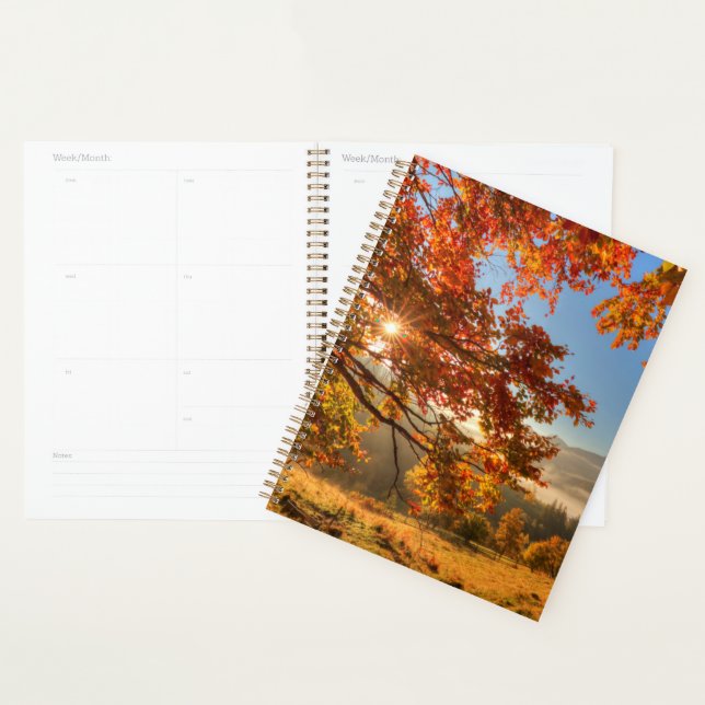 Autumn Forest in the Mountains Planner (Display)