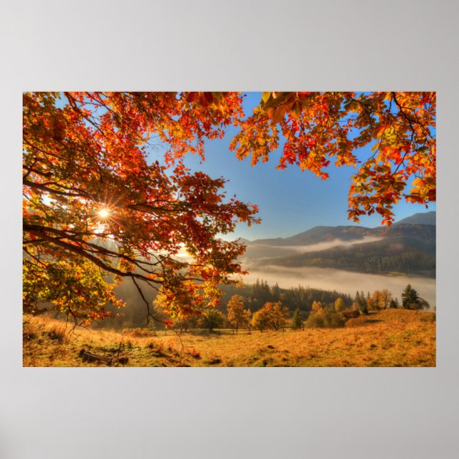Autumn Forest in the Mountains Poster (Front)
