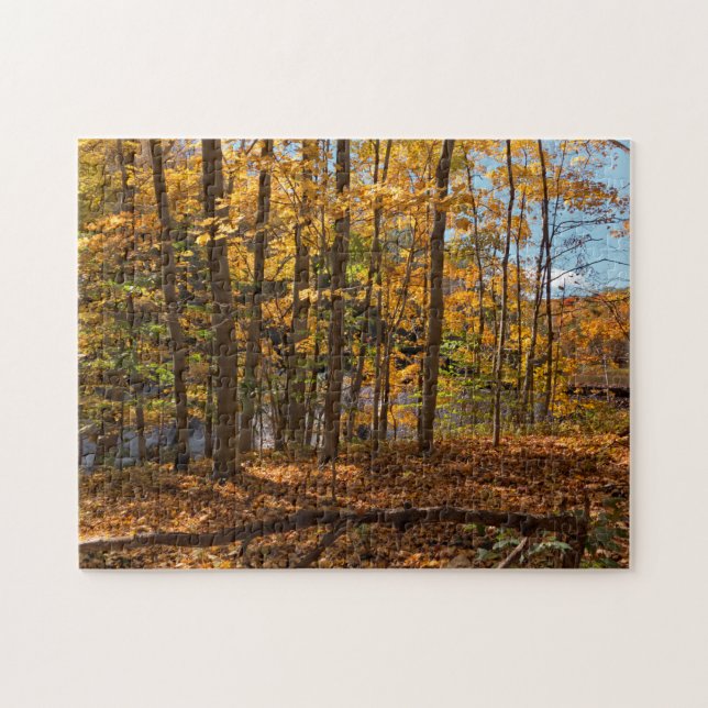 Autumn Forest Jigsaw Puzzle (Horizontal)