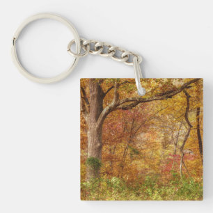 Autumn Forest Key Ring