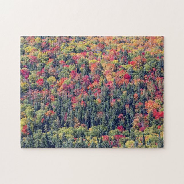Autumn Forest Landscape Jigsaw Puzzle (Horizontal)