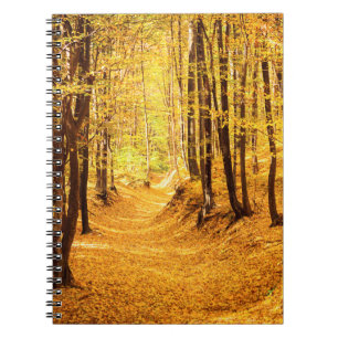 Autumn forest landscape notebook