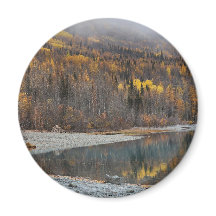 Autumn Forest Landscape with Golden Trees