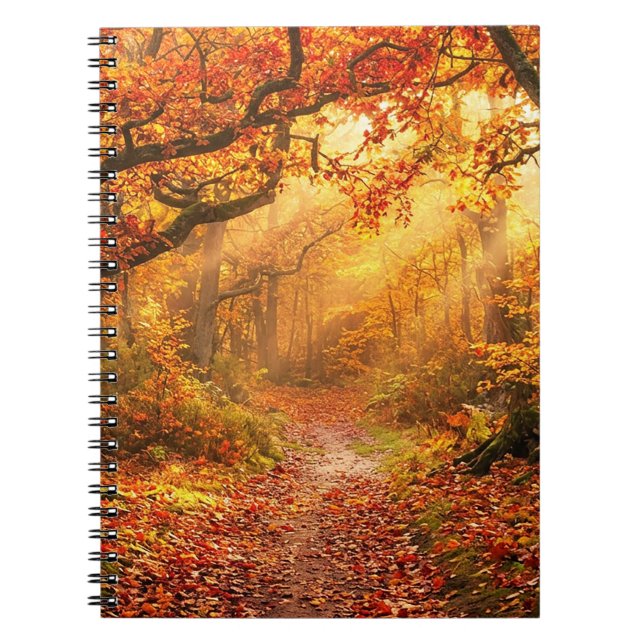 Autumn Forest Notebook (Front)
