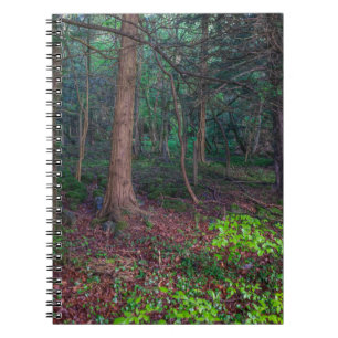 Autumn forest notebook
