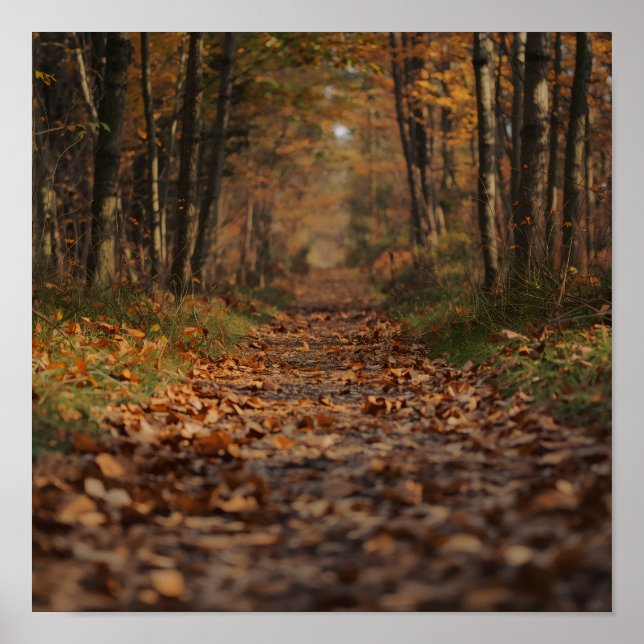 Autumn Forest Pathway Poster (Front)