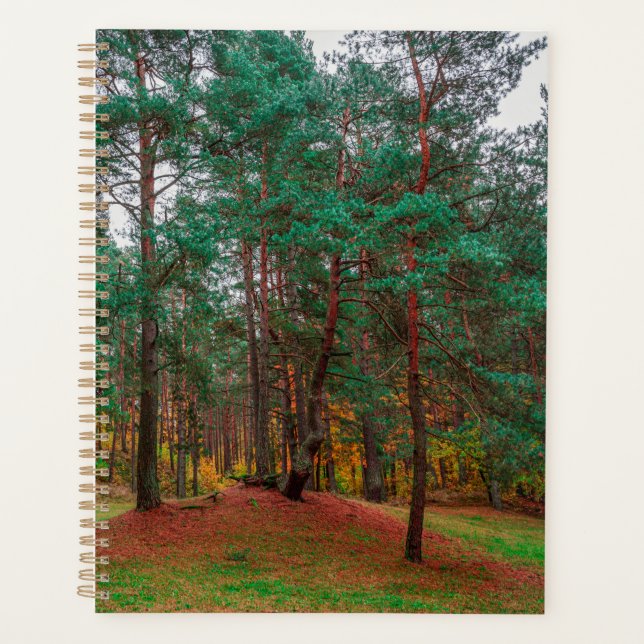 Autumn forest planner (Front)
