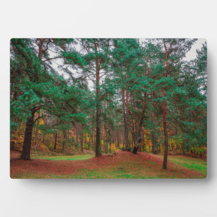 Autumn forest plaque
