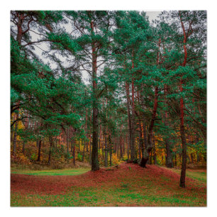Autumn forest poster