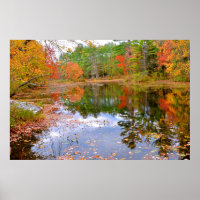 Autumn Forest Reflected in Pond
