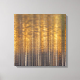 Autumn Forest Reflected on Water Abstract Canvas Print
