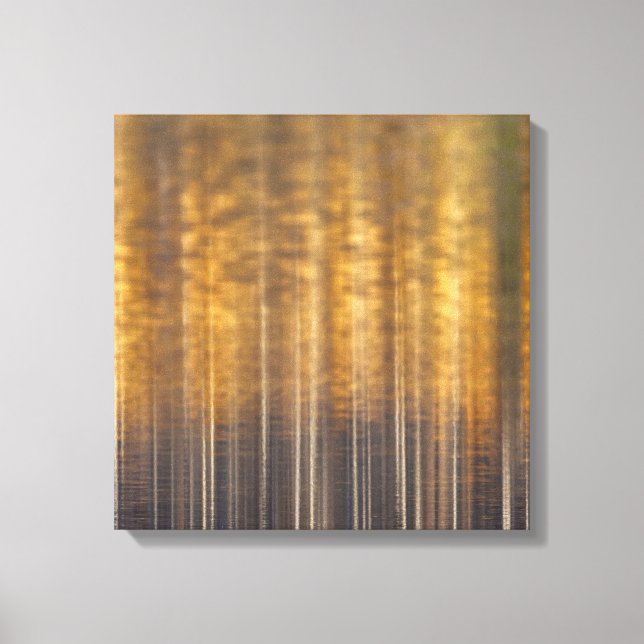 Autumn Forest Reflected on Water Abstract Canvas Print (Front)